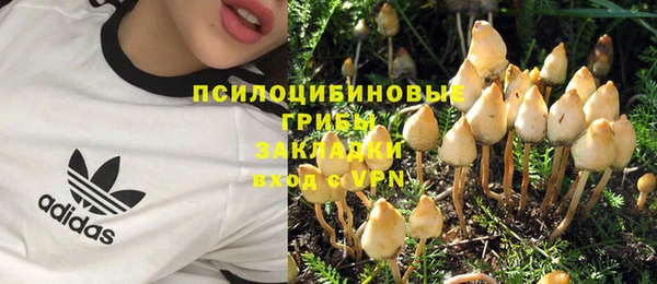 таблы Калининец