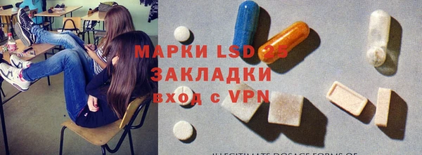 стаф Нея
